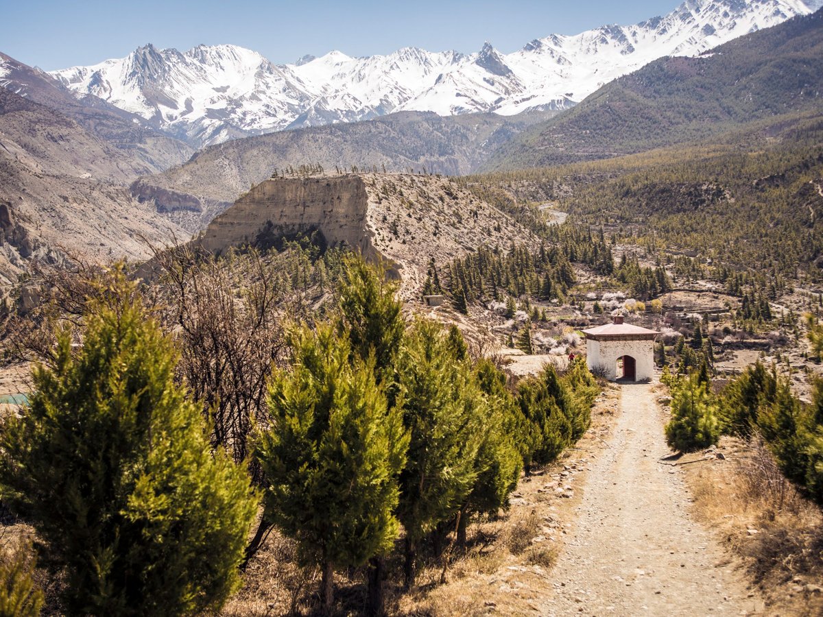 A dirt road leads through a valley with snow-capped mountains in the background, flanked by evergreen trees and a white stone structure with an archway