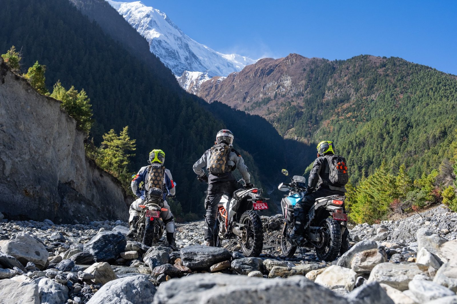 Chris Birch Signature Tour gallery image
